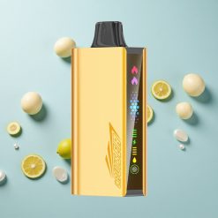 JNR Cruiser 12000 Puffs Hűvös Menta Kombináció Beépített 3500 mAh Akkumulátor Hungary wholesalers