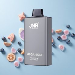 JNR Mega Box 25000 Puffs Eldobható E-cigaretta Áfonya Buborékrággal Típus-C Gyorstöltés Hungary wholesalers