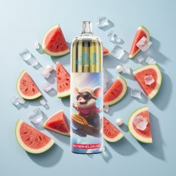 JNR Rocket-X 12400 Puffs Dinnye Jég Állítható Légáramlás Hungary wholesalers