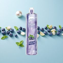 JNR Shisha Hookah 12000 Puffs Áfonya-Menta 24ml Hungary wholesalers