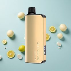 Alibarbar Ingot 9000 Puffs Hideg Borsmenta Hungary wholesalers