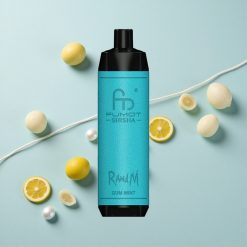 RandM Fumot Shisha 10000 Puffs Gum Mentol LED Jelző Hungary wholesalers